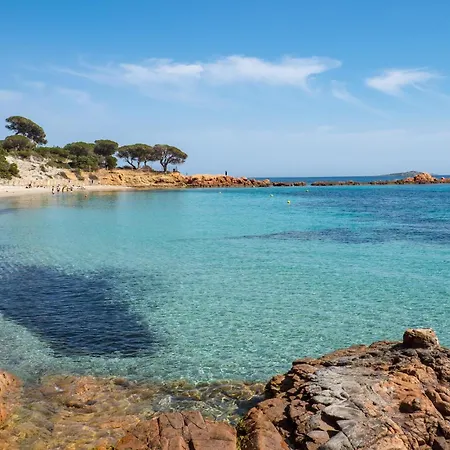 Piscine Vue Vakantiehuis Porto-Vecchio (Corsica)