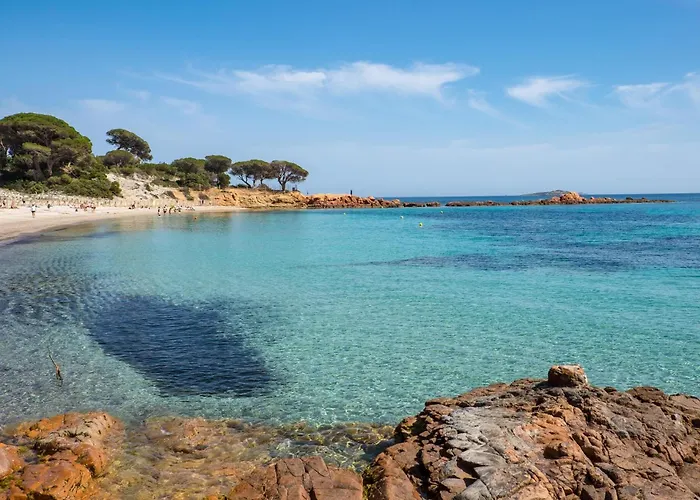 Piscine Vue Vakantiehuis Porto-Vecchio (Corsica)